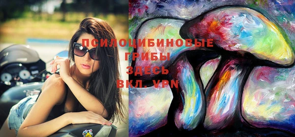 Альфа ПВП Баксан