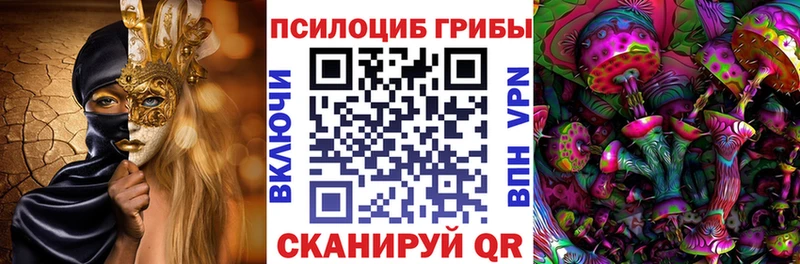где найти   Мурманск  Галлюциногенные грибы GOLDEN TEACHER 